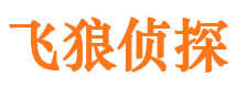 新龙侦探公司